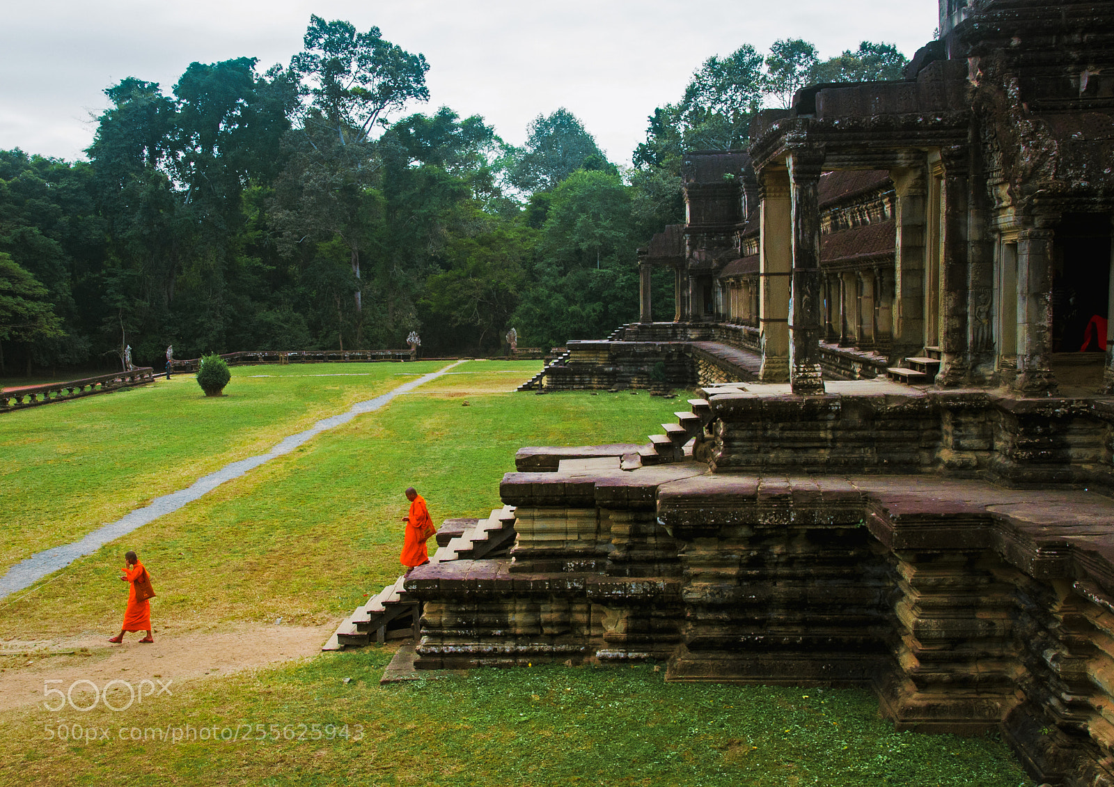 Nikon D90 sample photo. Monks in the morning photography