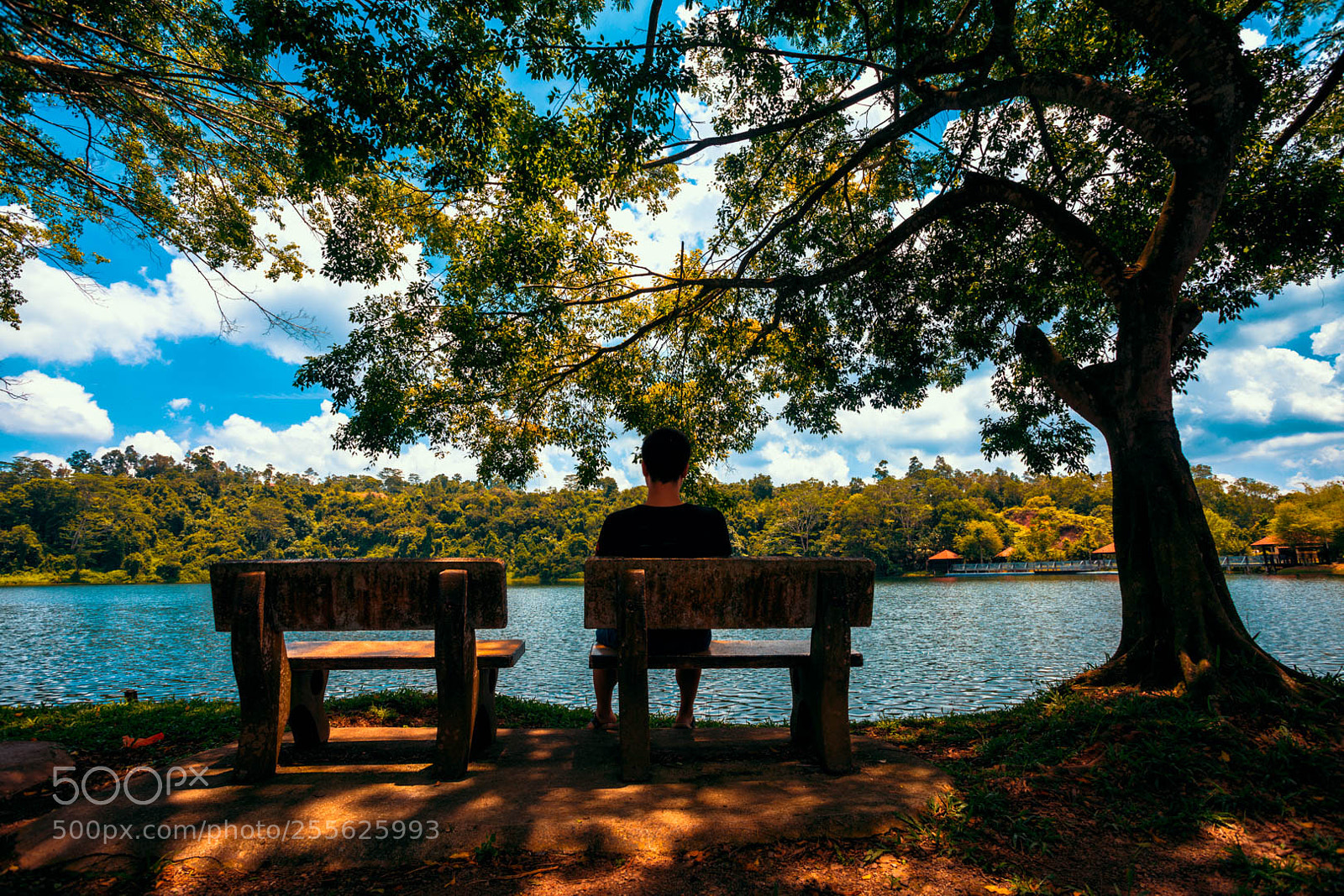 Canon EOS 5D Mark IV sample photo. Untitled photography