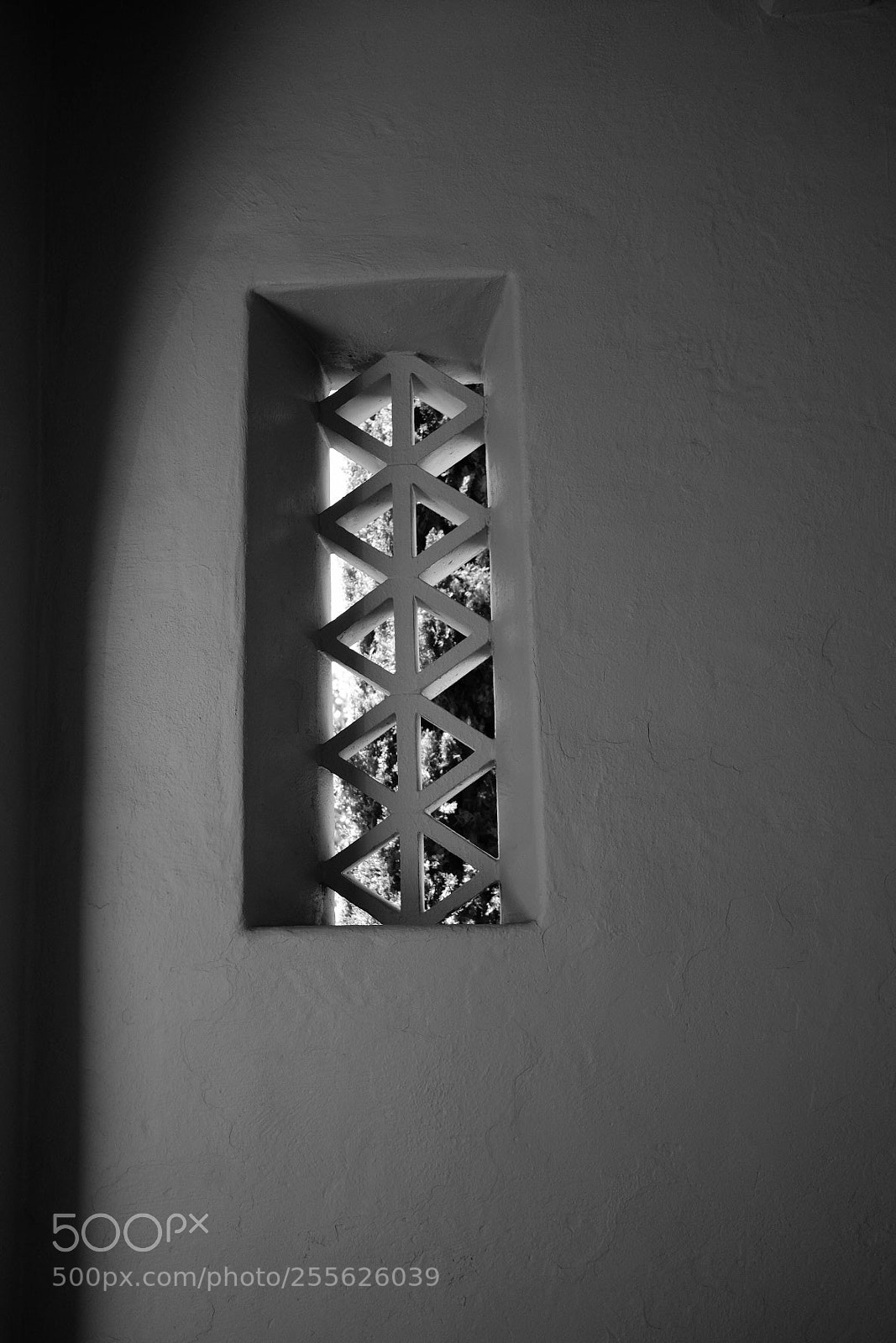 Fujifilm X-Pro2 sample photo. Untitled photography