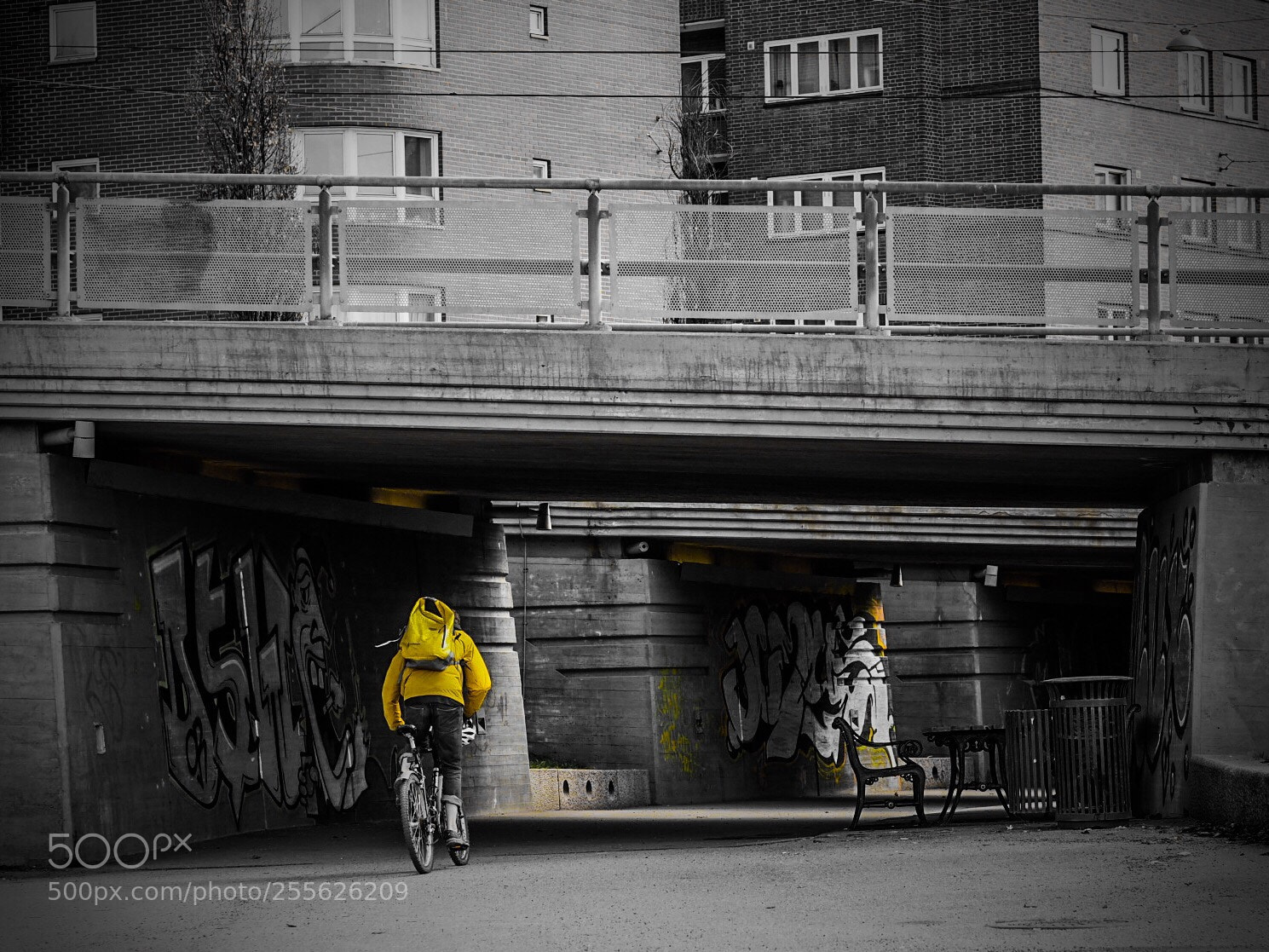 Olympus PEN-F sample photo. Yellow cyclist photography