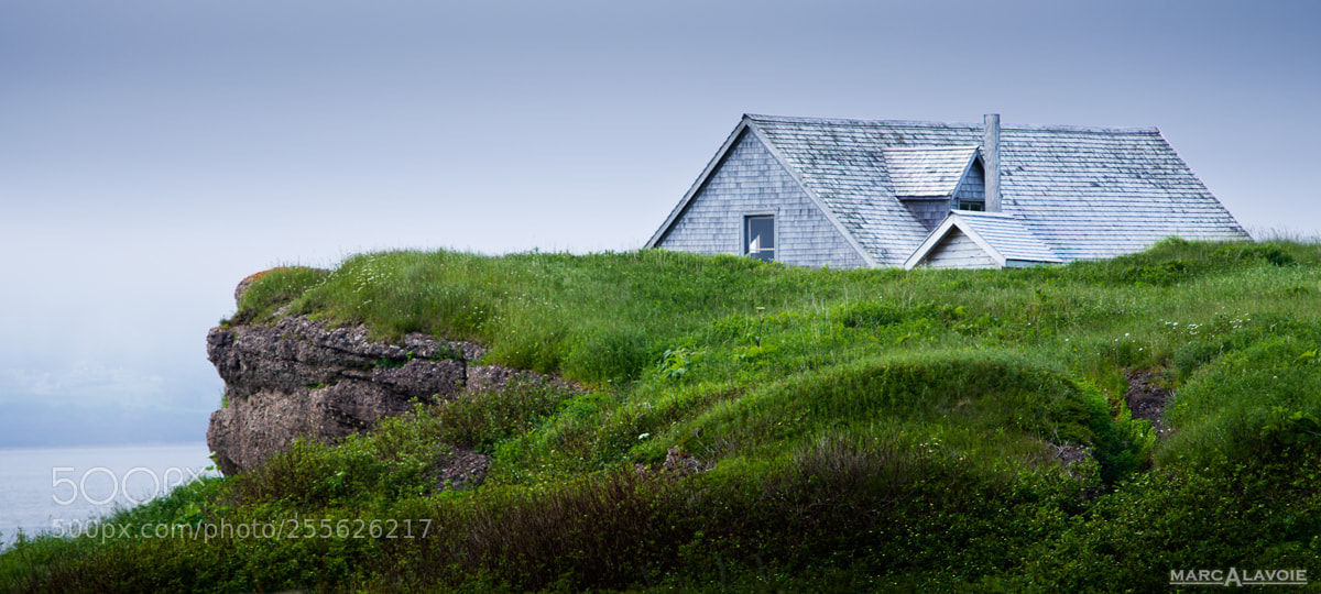 Pentax K-3 sample photo. Lonely bonaventure photography