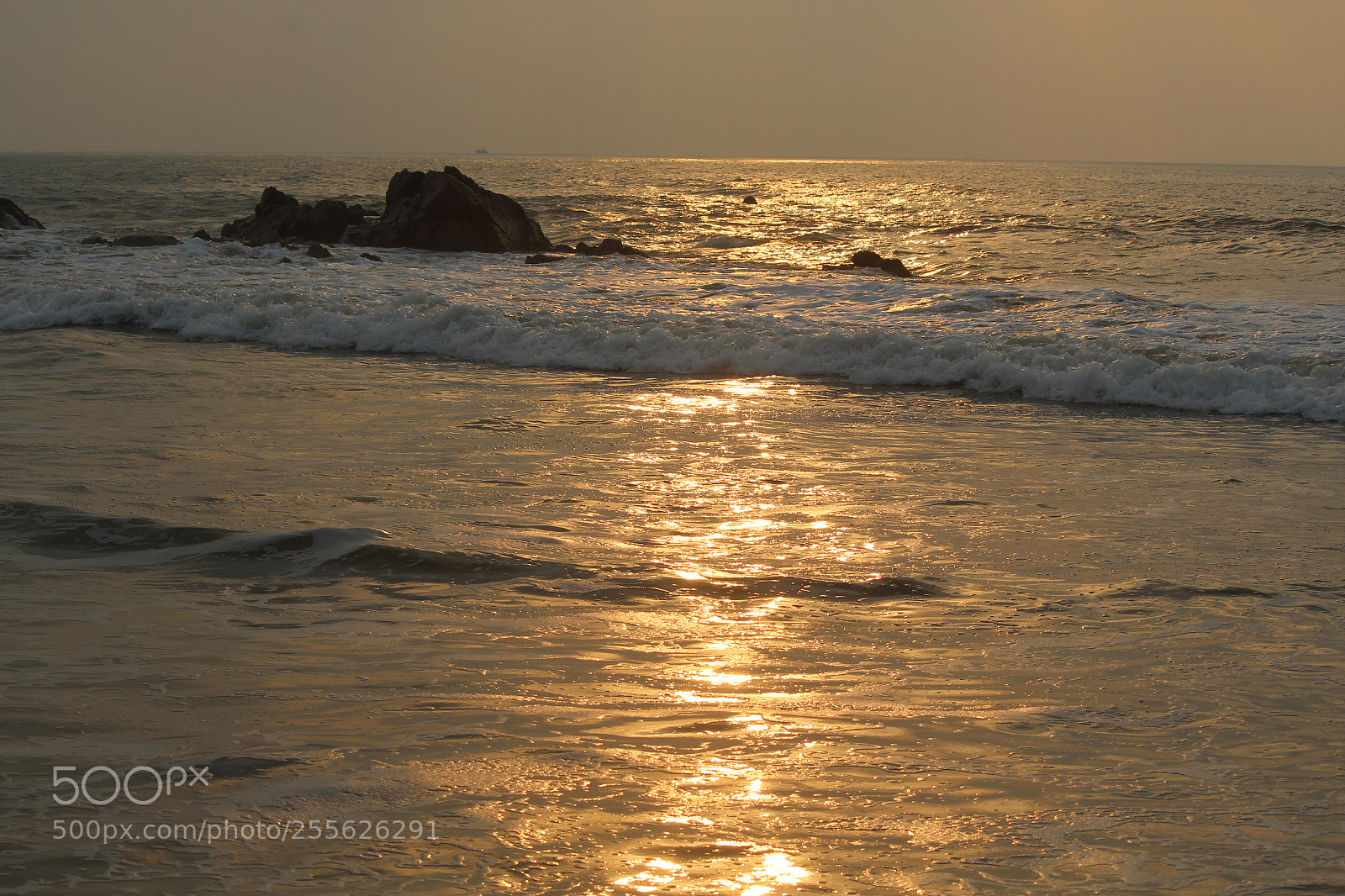Canon EF-S 55-250mm F4-5.6 IS II sample photo. Golden morning photography