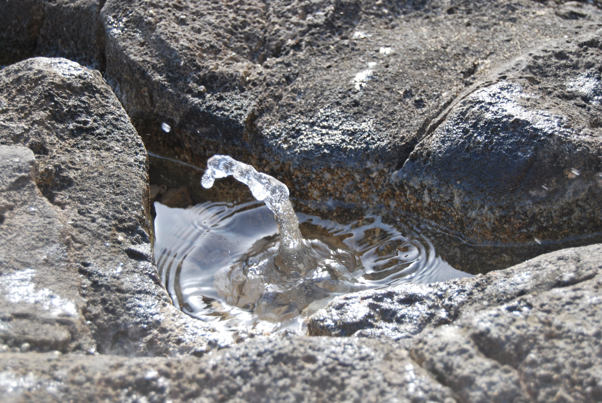 Nikon D60 sample photo. Drop of water photography