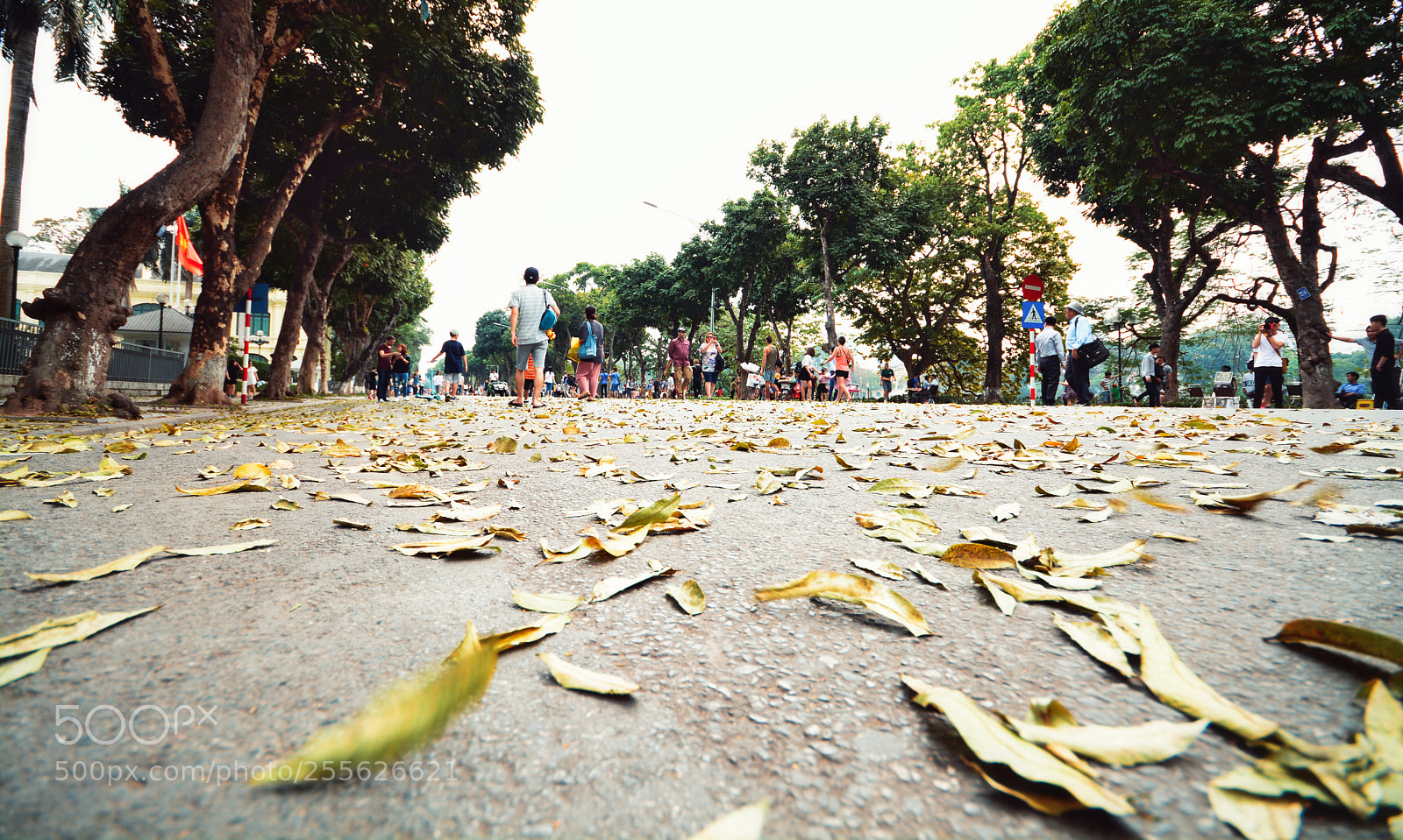 Nikon D7100 sample photo. Untitled photography
