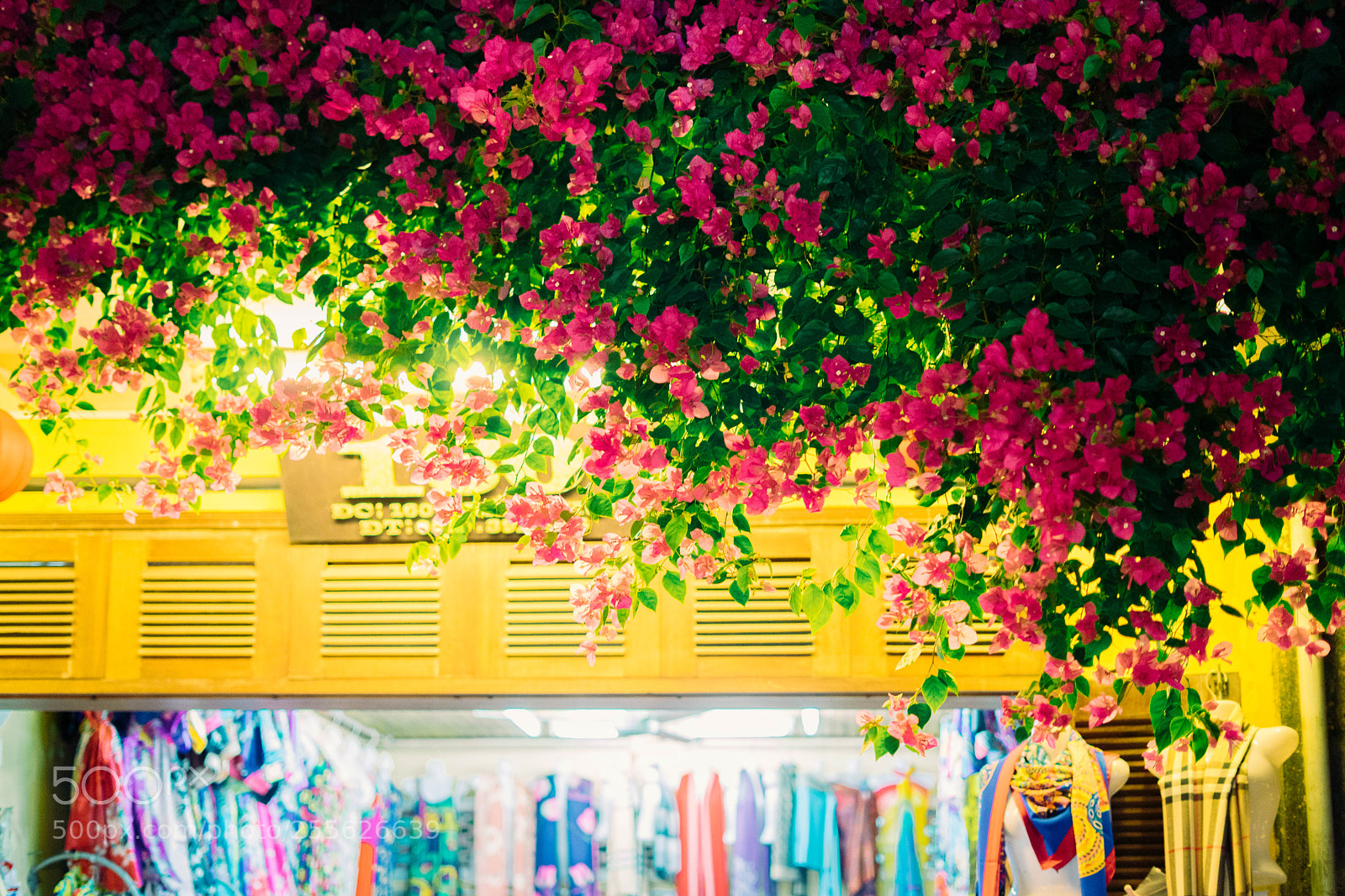 Sony a7 sample photo. Night photography