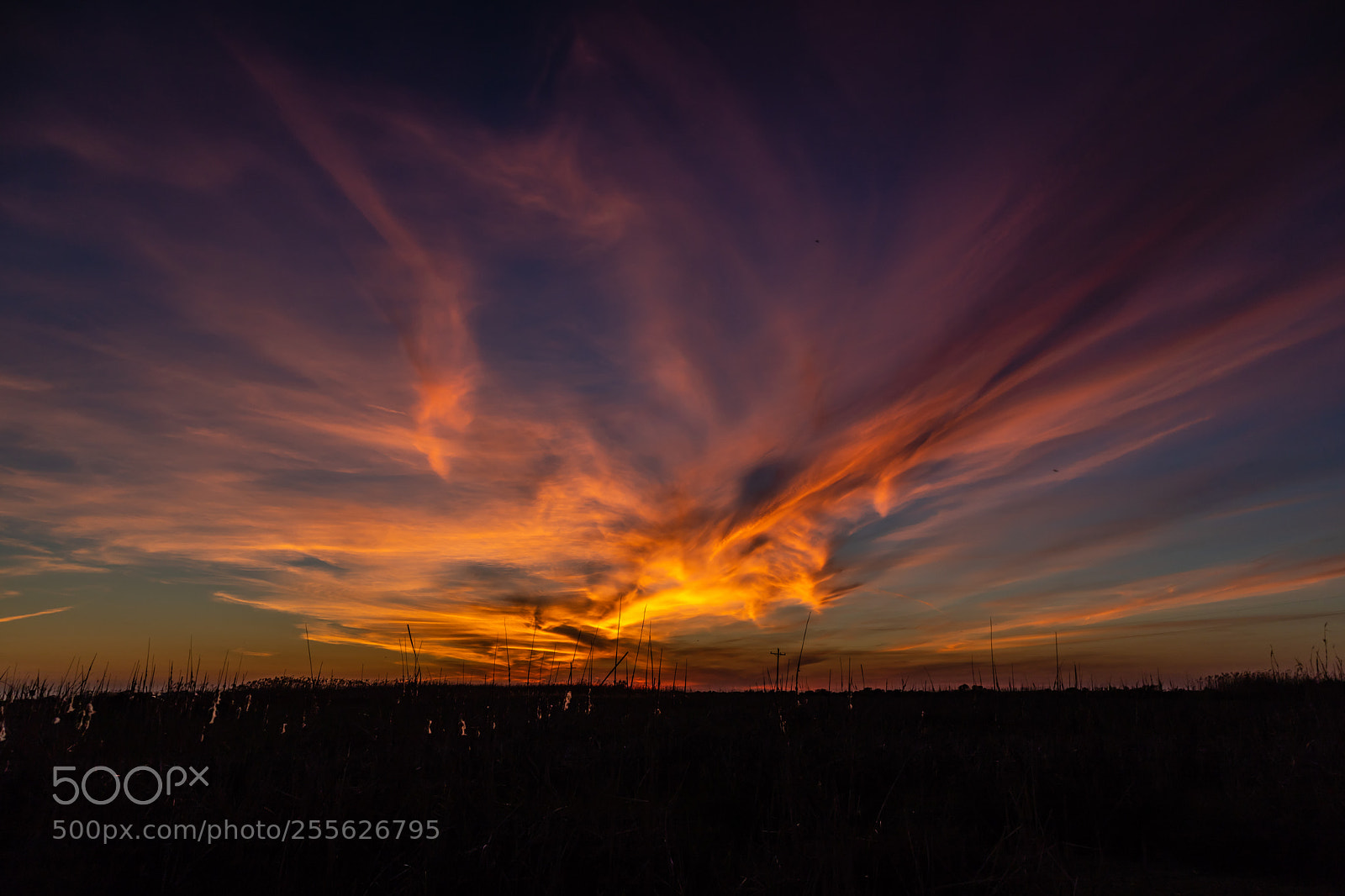 Canon EOS 6D Mark II sample photo. Fire in the sky photography