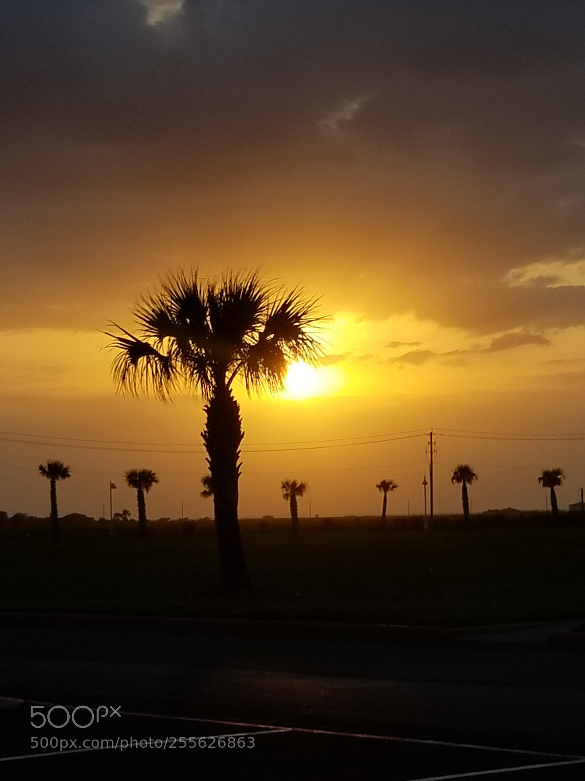 Samsung Galaxy S8+ sample photo. Paradise photography