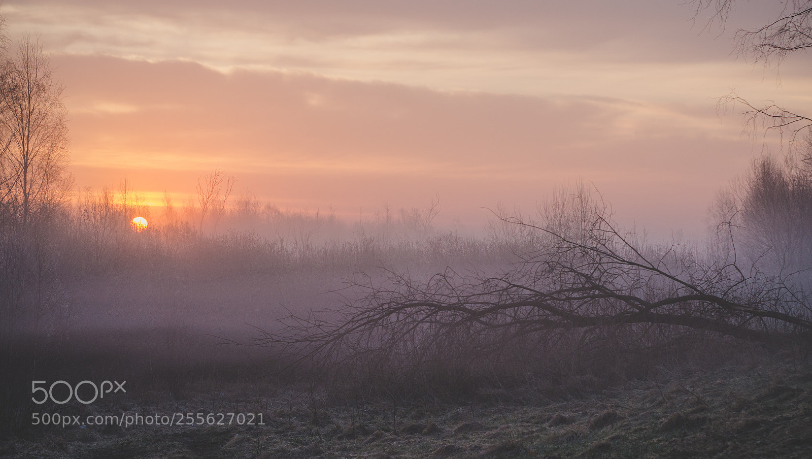 Nikon D7000 sample photo. Morning photography