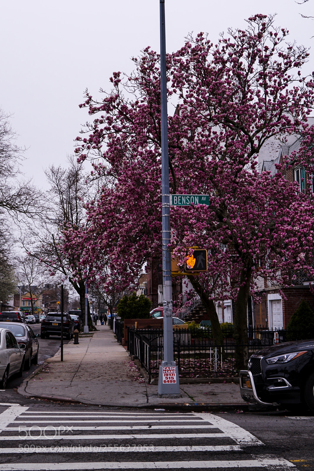 Sony a6000 sample photo. City`s jewelry photography