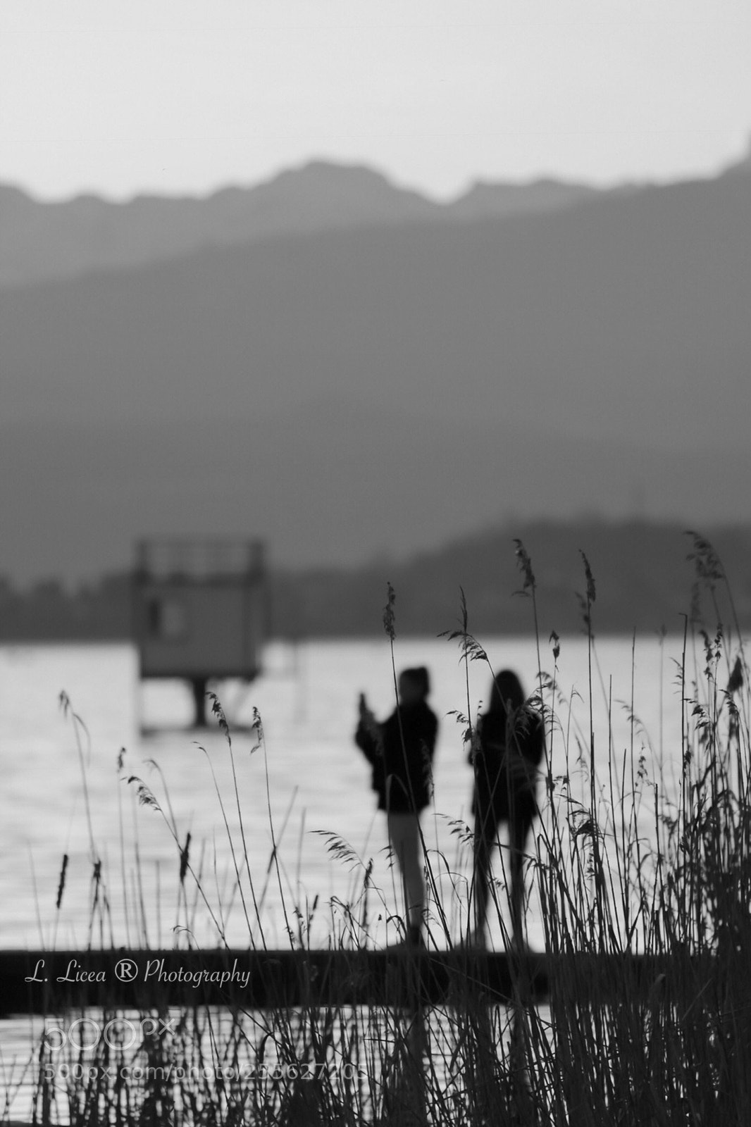 Canon EOS 6D Mark II sample photo. Indifference 1  photography