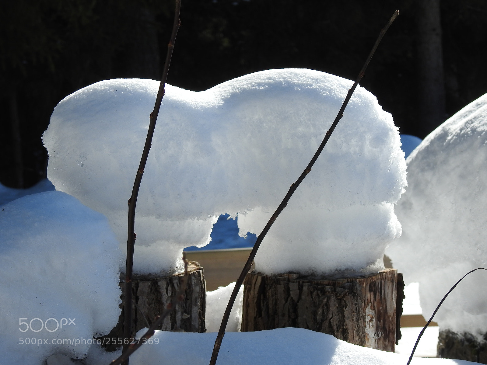 Nikon Coolpix P900 sample photo. Sweden winter photography