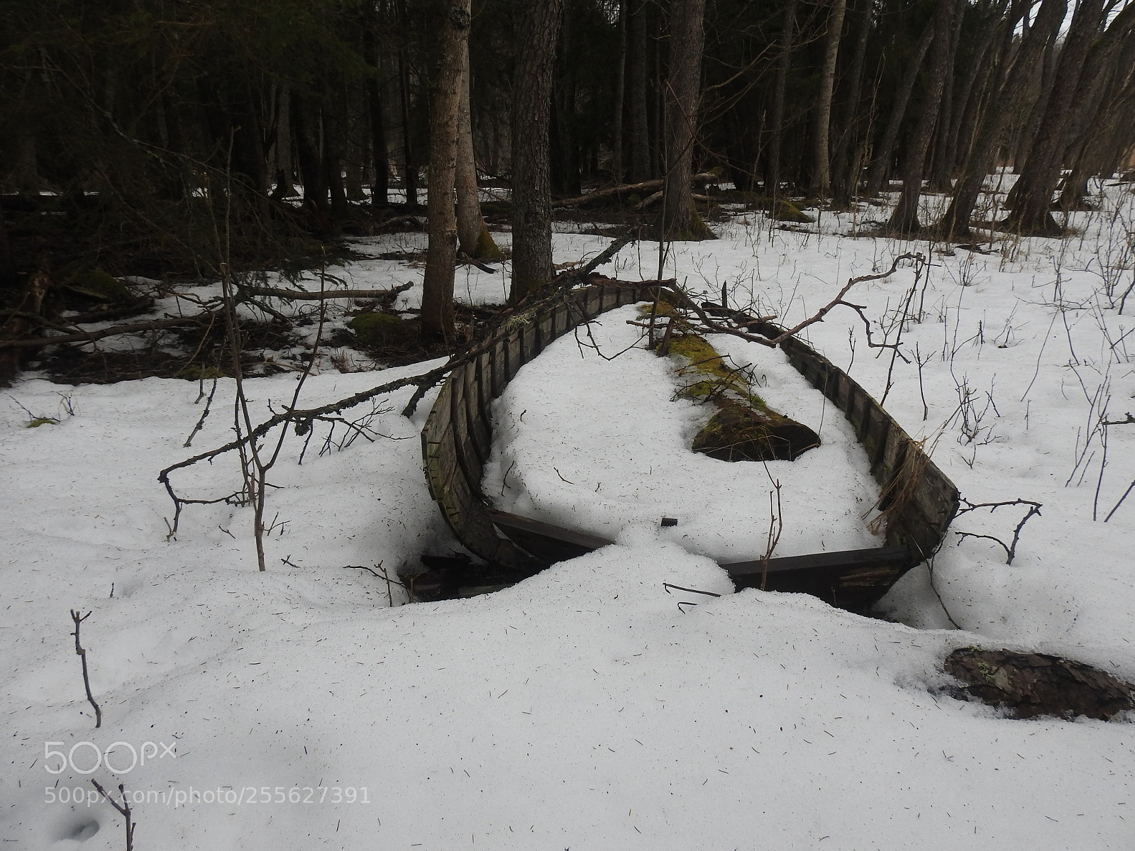 Nikon Coolpix P900 sample photo. Sweden winter photography
