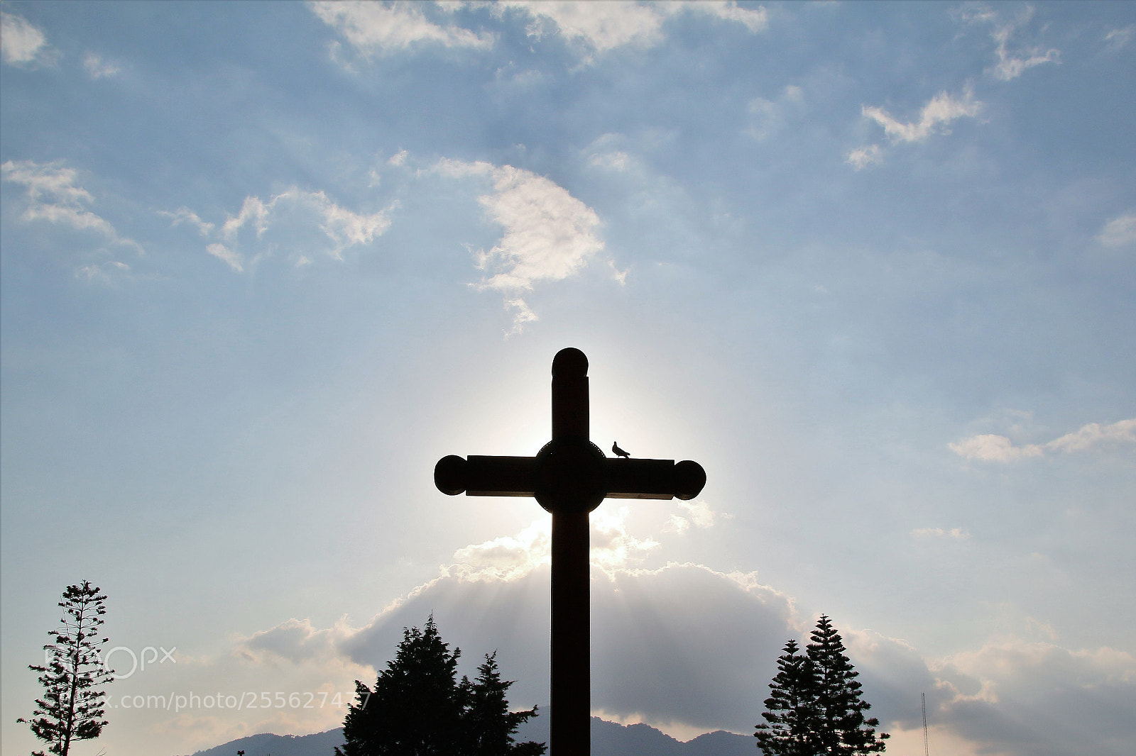 Canon EOS 70D sample photo. Croce photography