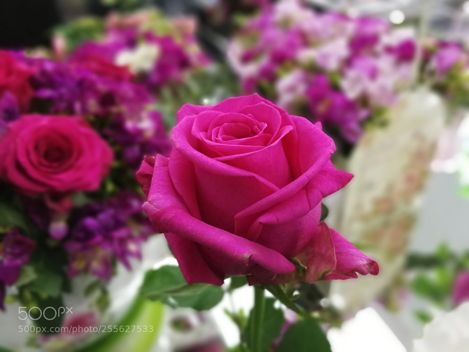 HUAWEI P10 sample photo. Untitled photography