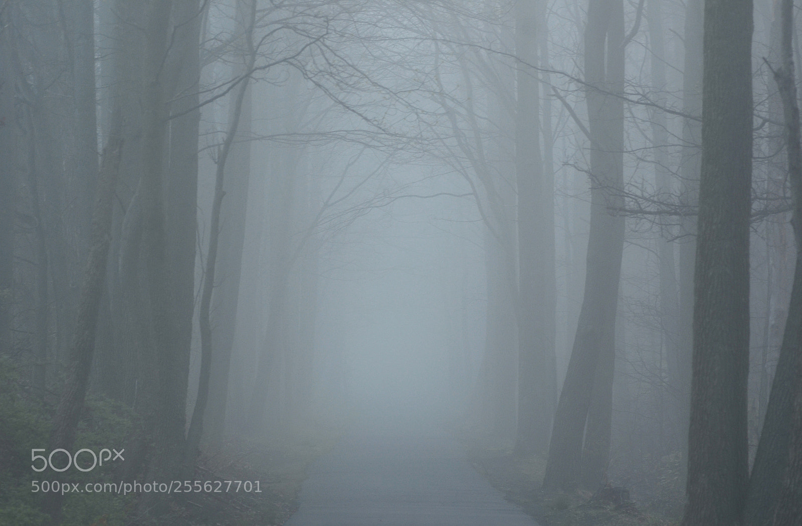 Nikon D7000 sample photo. Ideal walk photography