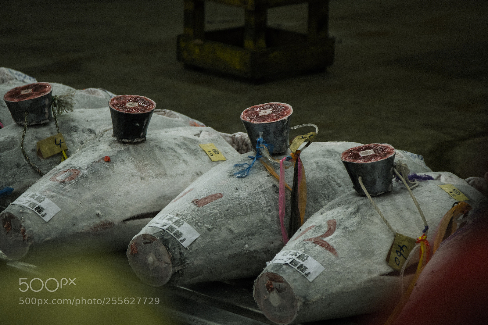 Sony a6500 sample photo. Tuna auction  photography