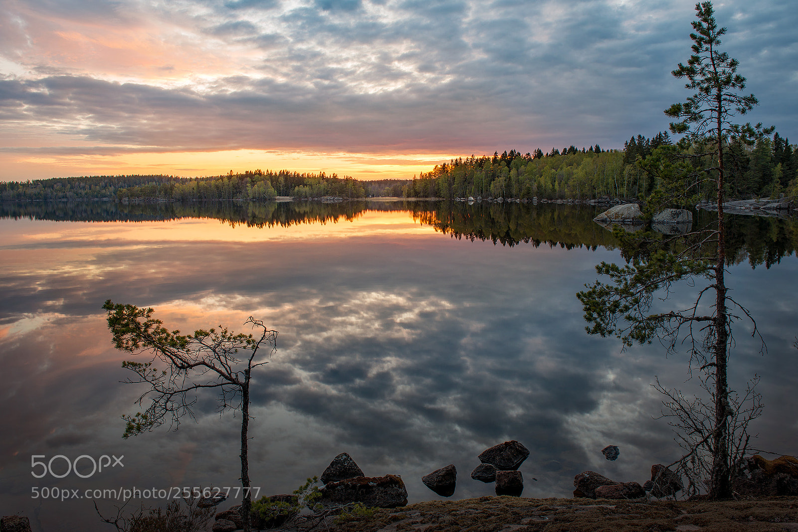 Nikon D800E sample photo. Lake drögen sweden photography