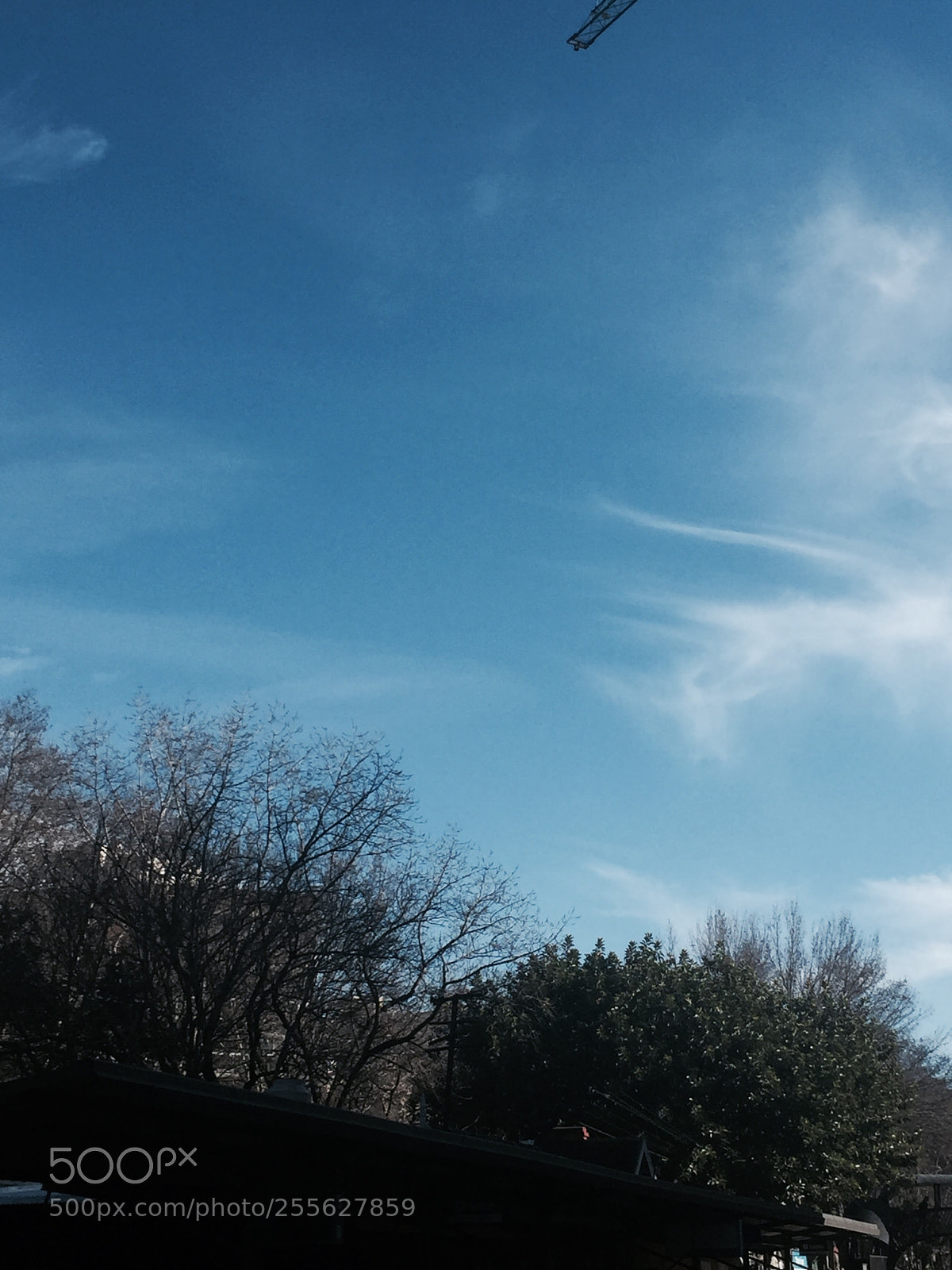 Apple iPhone 6 sample photo. Img photography
