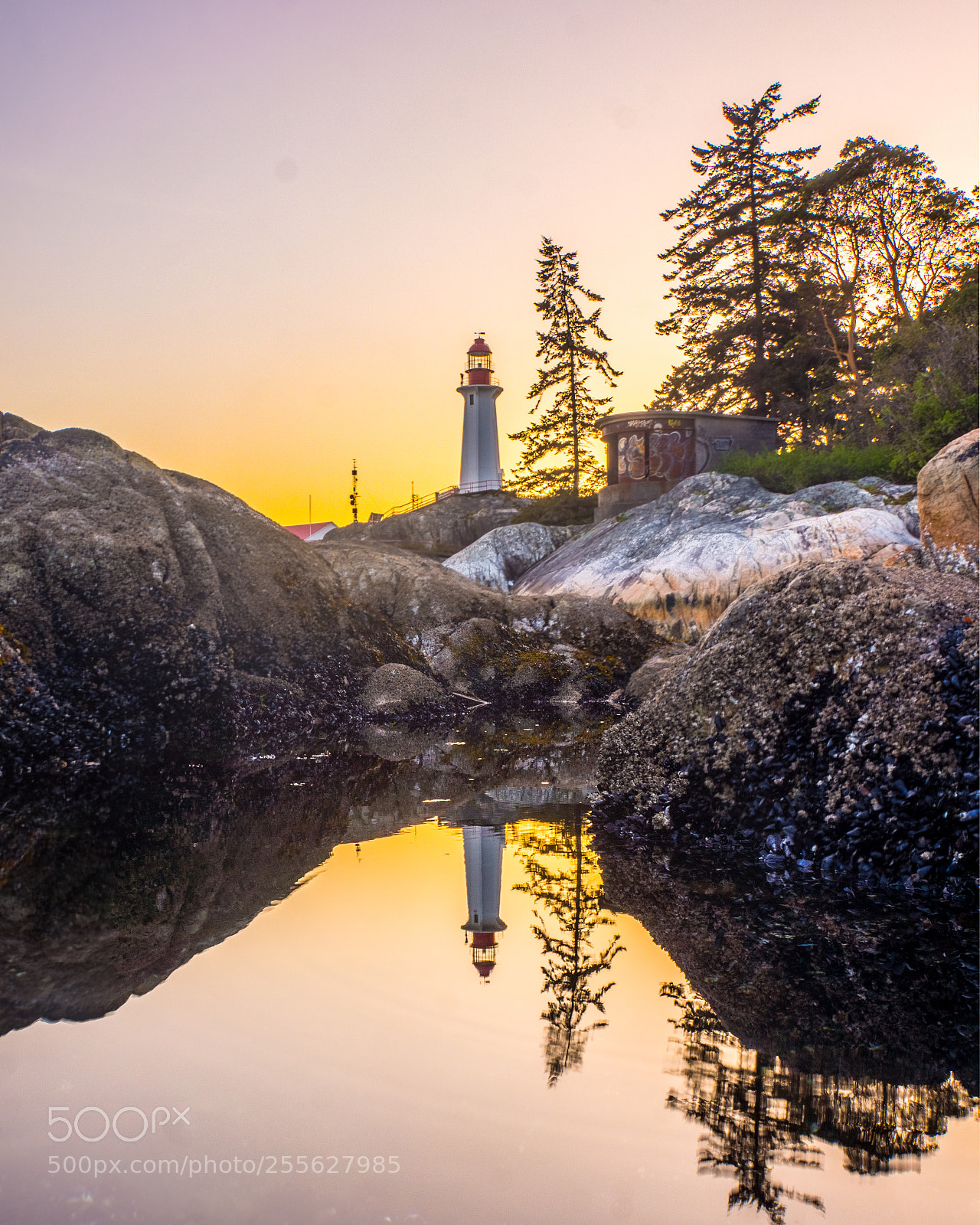 Sony Alpha NEX-7 sample photo. Sunset reflection photography