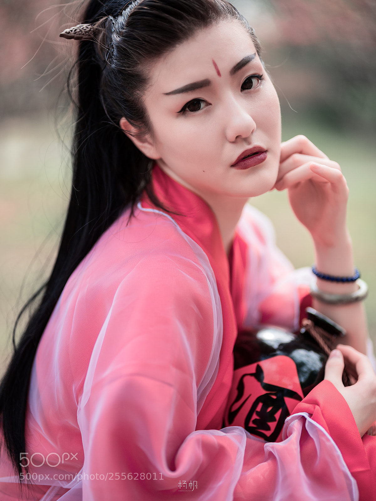 Fujifilm GFX 50S sample photo. 醉。桃花 photography