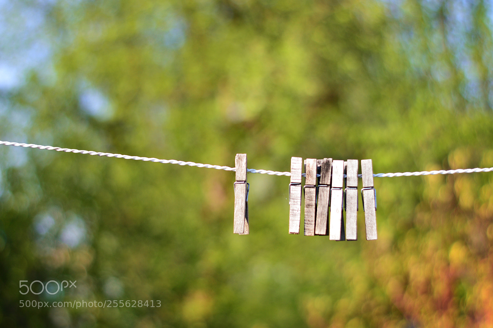 Nikon D3200 sample photo. Untitled photography