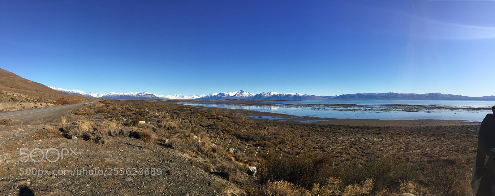 Apple iPhone 6 sample photo. Img photography