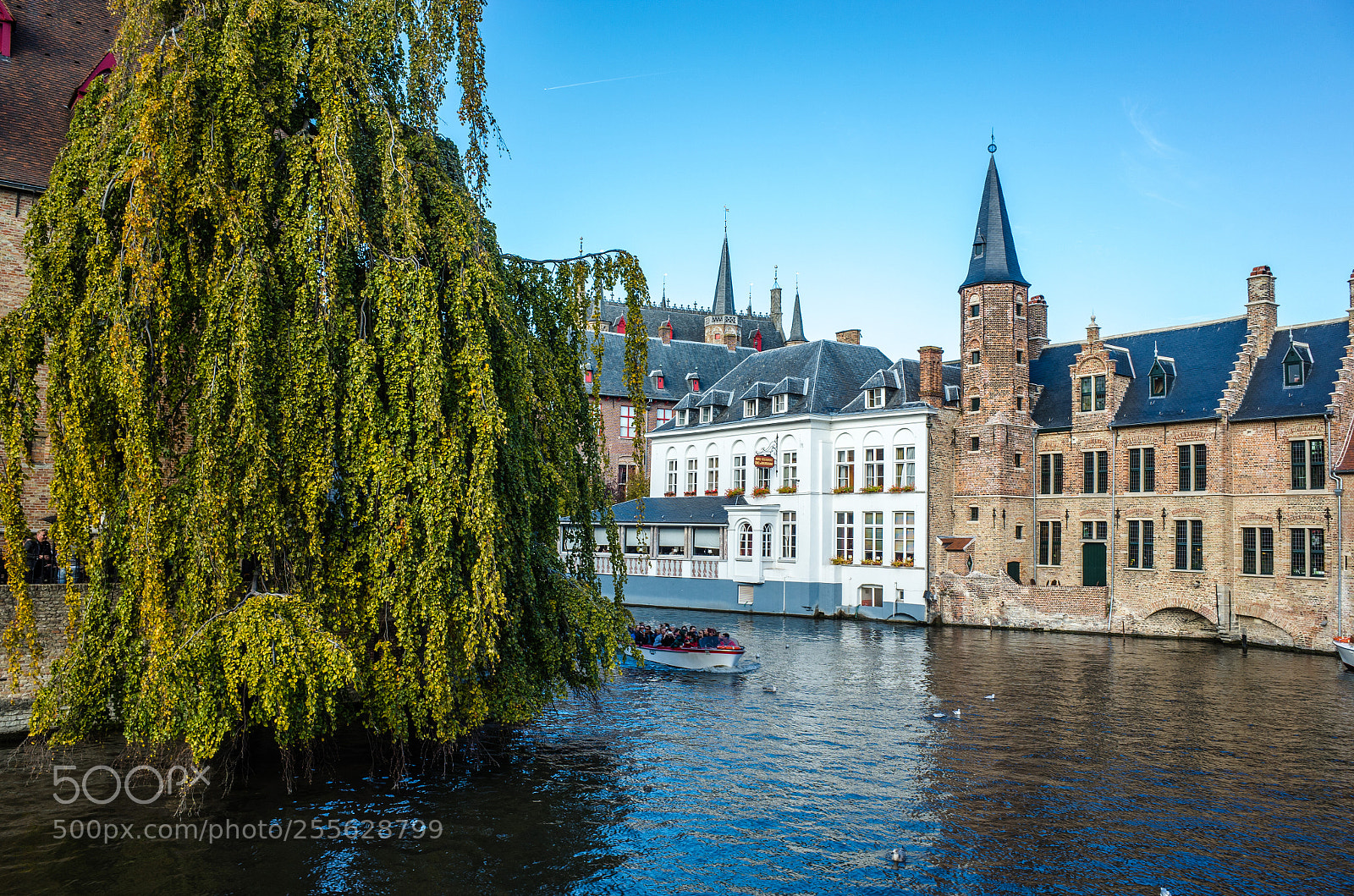 Ricoh GR sample photo. Canal in bruge, belgium photography