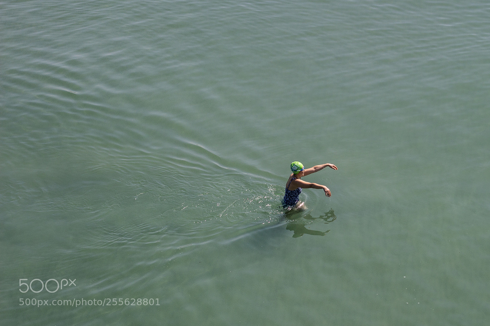 Canon EOS 60D sample photo. The swimming dead photography