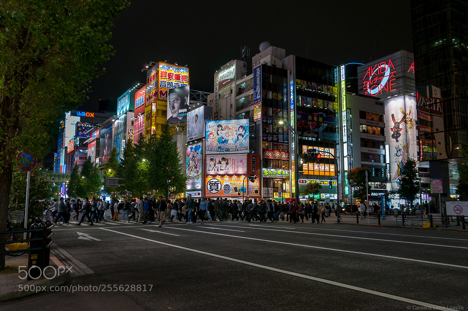 Nikon D90 sample photo. Akihabara photography