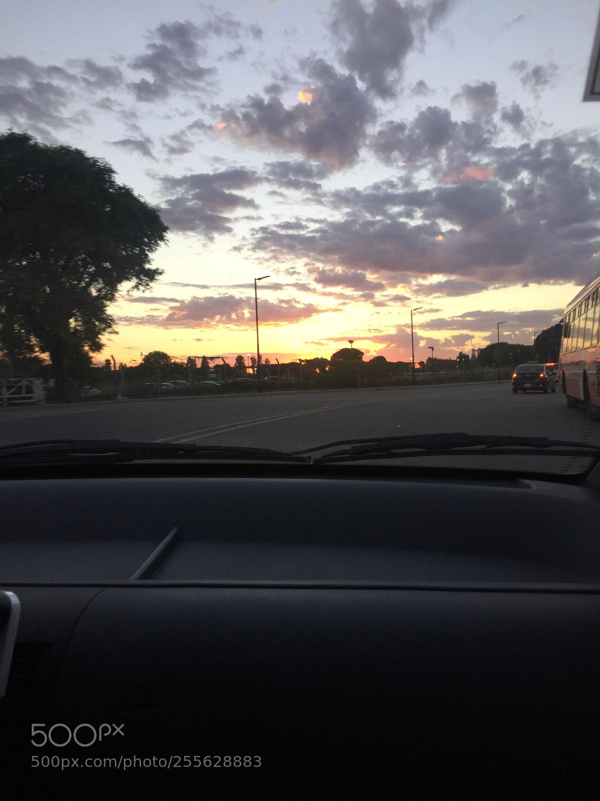 Apple iPhone 6 sample photo. Img photography