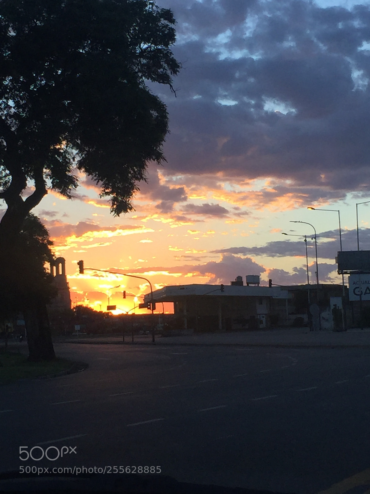 Apple iPhone 6 sample photo. Img photography