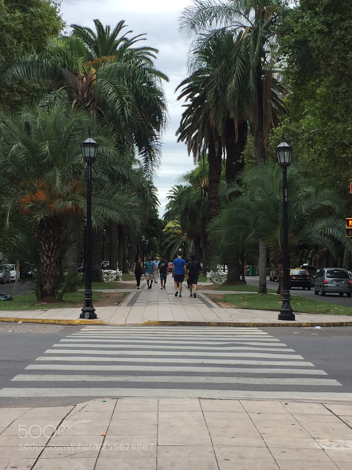 Apple iPhone 6 sample photo. Img photography