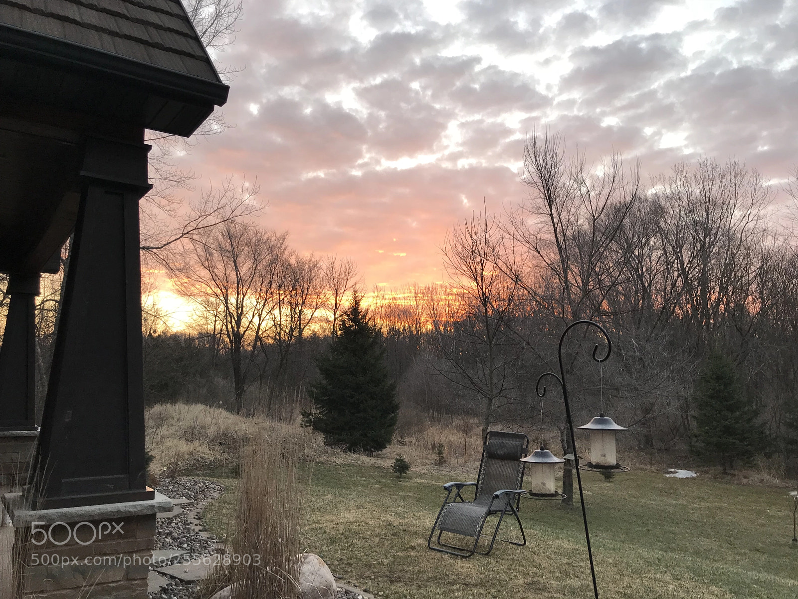 Apple iPhone 7 Plus sample photo. Backyard am photography