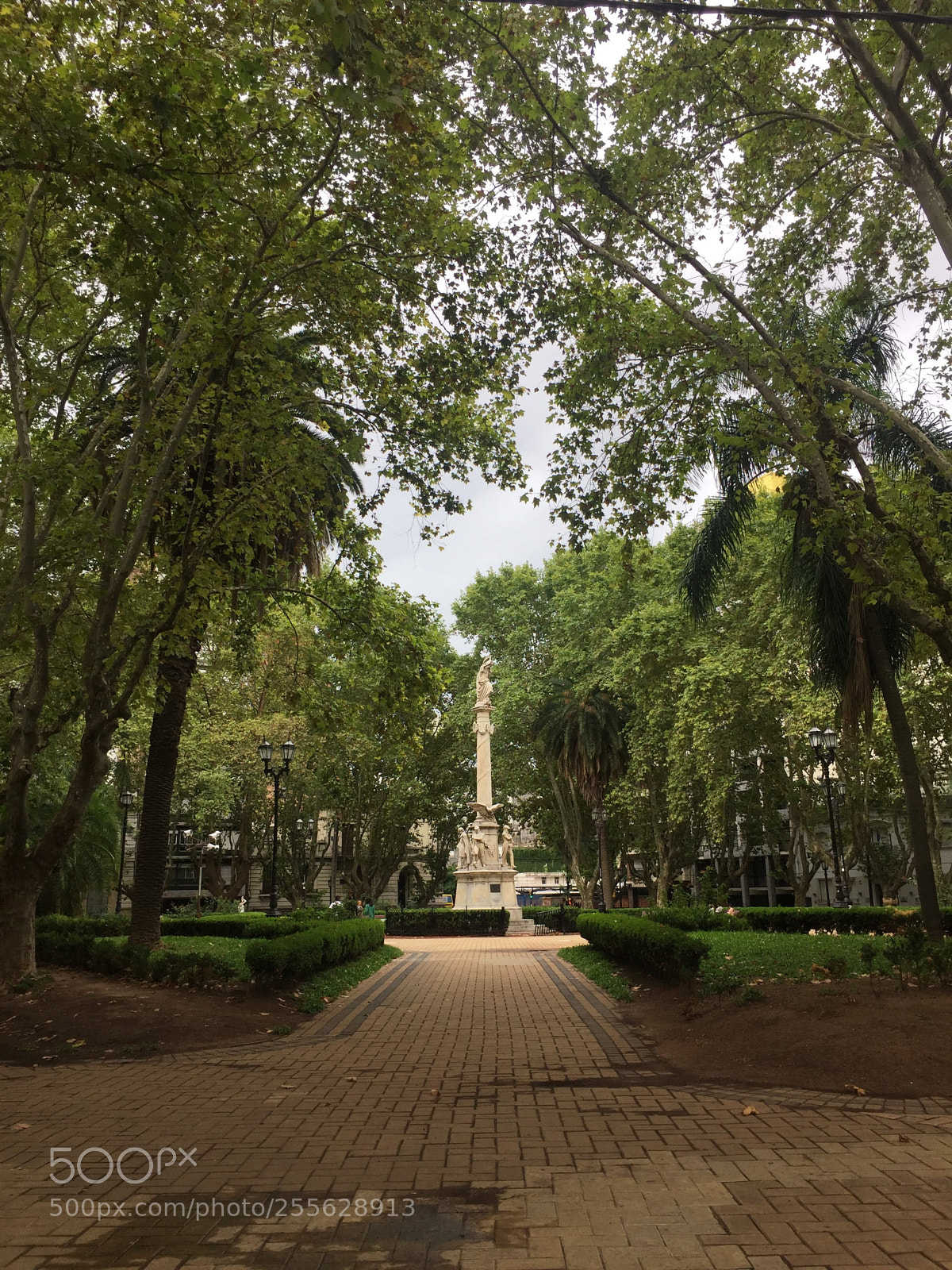 Apple iPhone 6 sample photo. Img photography