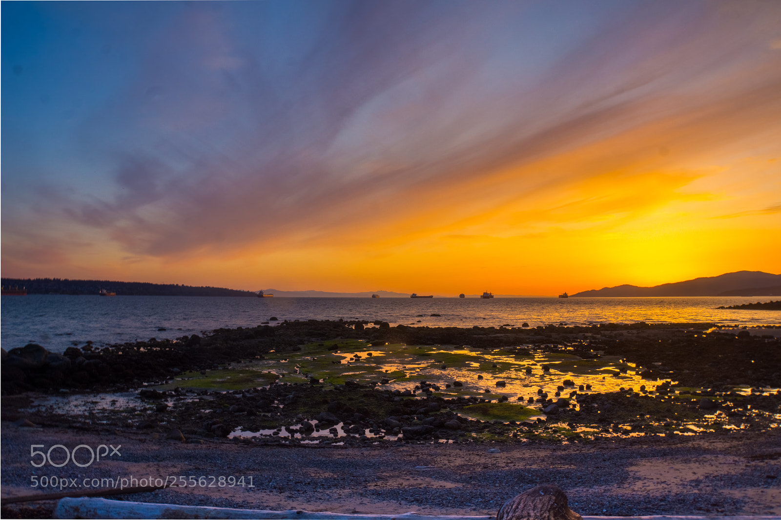 Sony Alpha NEX-7 sample photo. Sunset frie photography