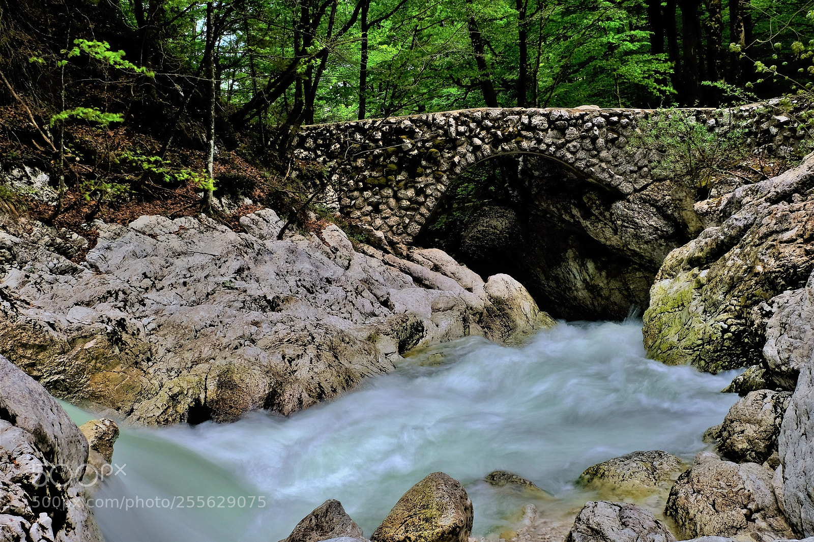 Fujifilm X-T20 sample photo. Stone bridge photography