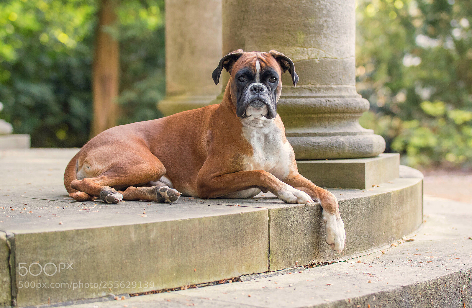 Nikon D500 sample photo. Untitled photography