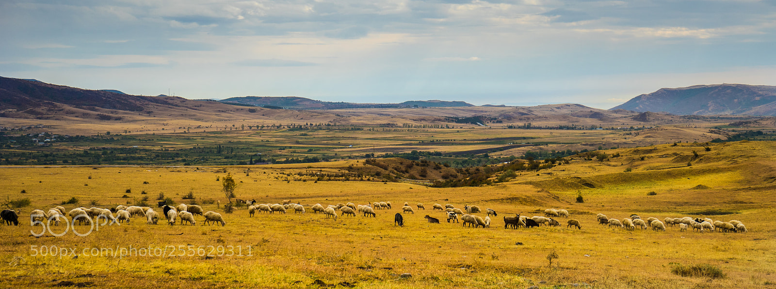 Sony a7 sample photo. Autumnal landscape of kakheti photography