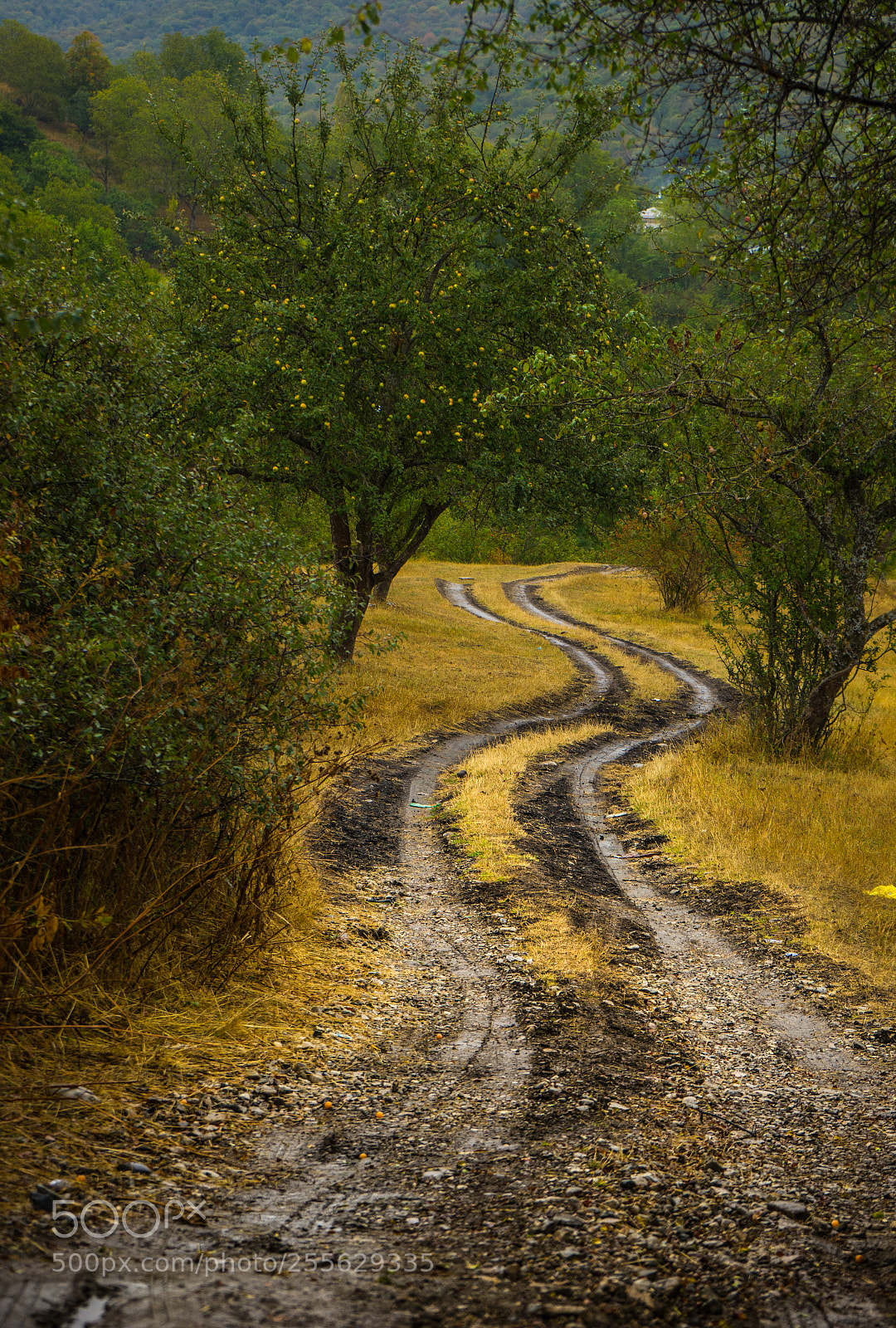 Sony a7 sample photo. Autumnal landscape of kakheti photography