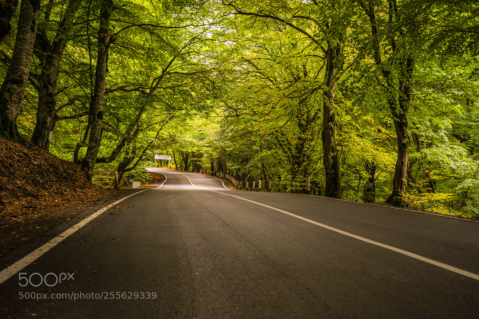 Sony a7 sample photo. Autumnal landscape of kakheti photography