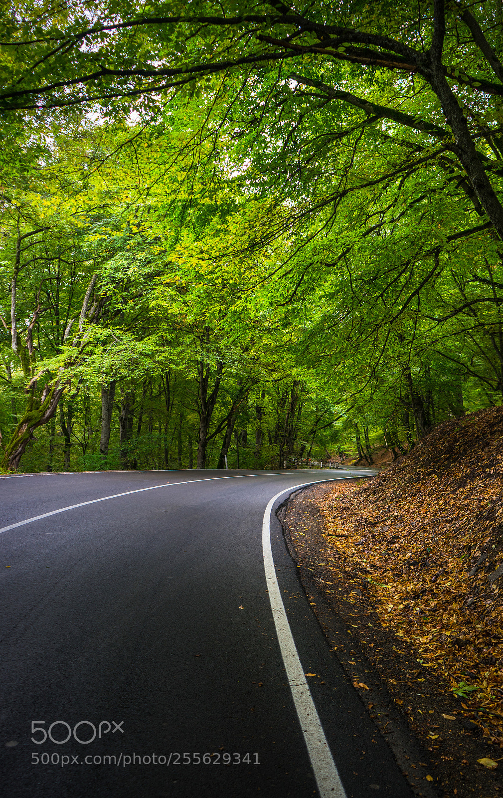 Sony a7 sample photo. Autumnal landscape of kakheti photography