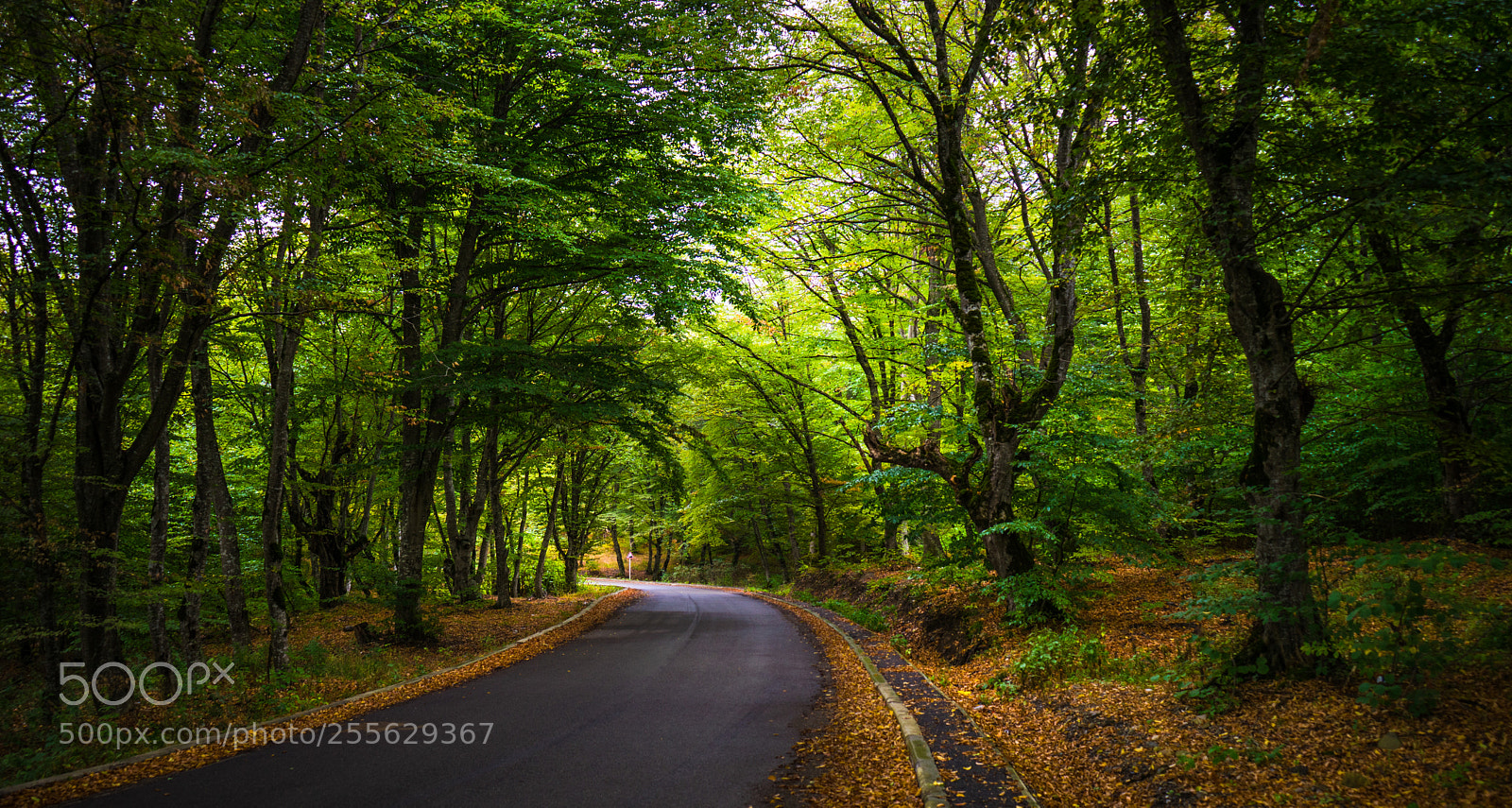 Sony a7 sample photo. Autumnal landscape of kakheti photography