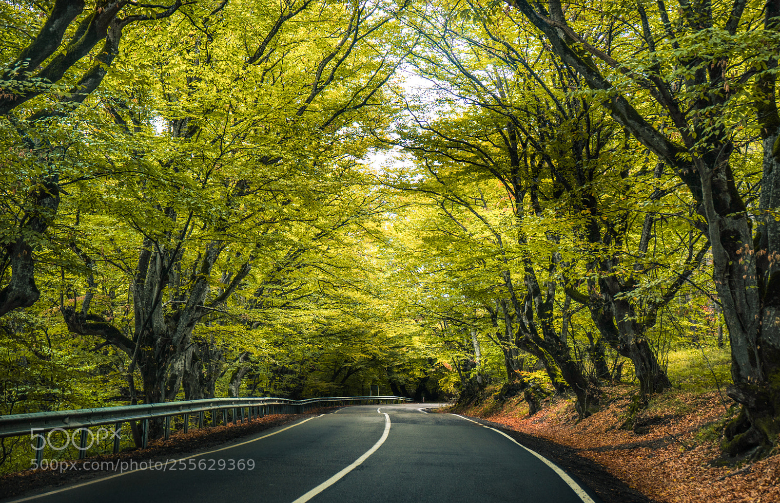 Sony a7 sample photo. Autumnal landscape of kakheti photography