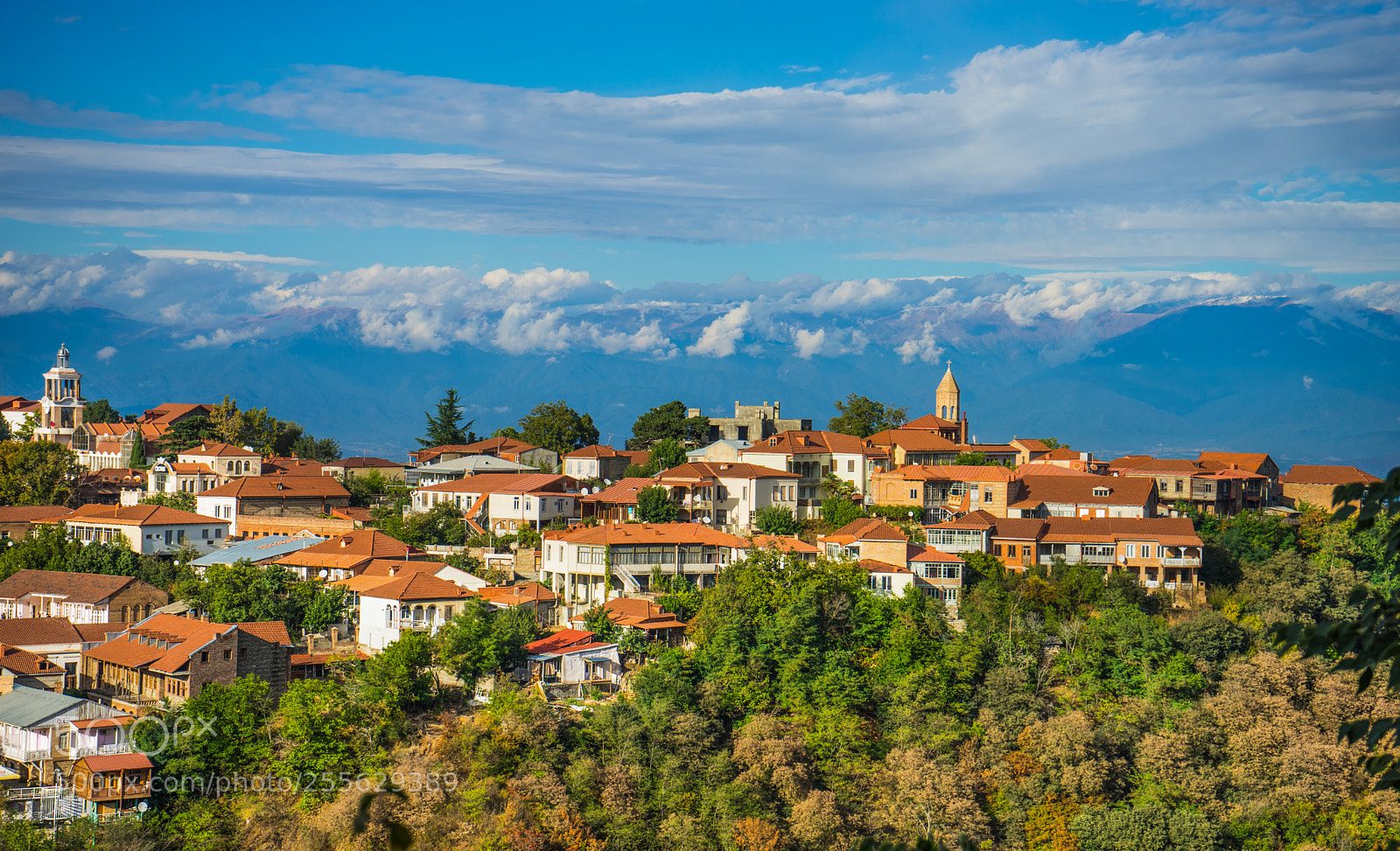 Sony a7 sample photo. Autumnal landscape of kakheti photography