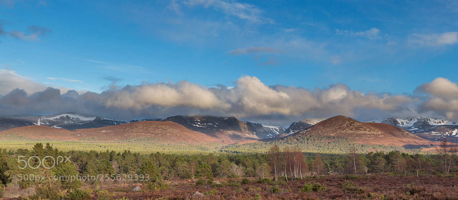 Canon EOS 650D (EOS Rebel T4i / EOS Kiss X6i) sample photo. Cairngorms pano photography