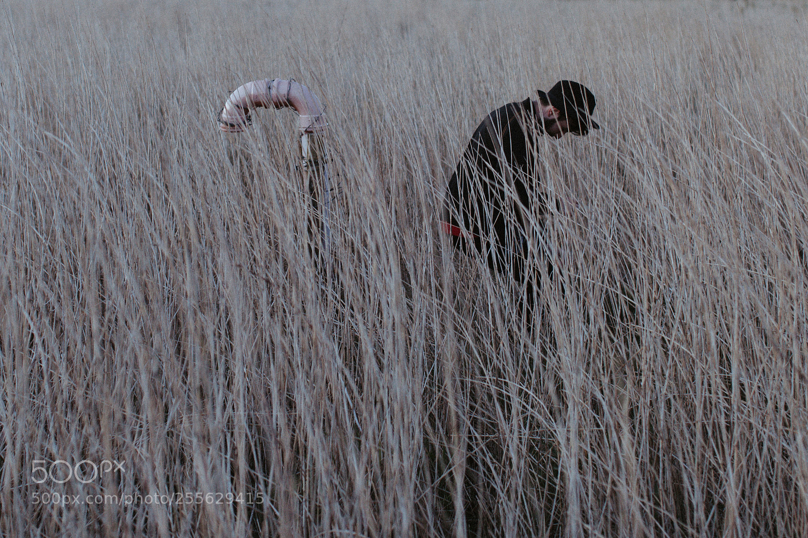 Canon EOS 5D Mark II sample photo. Found things photography