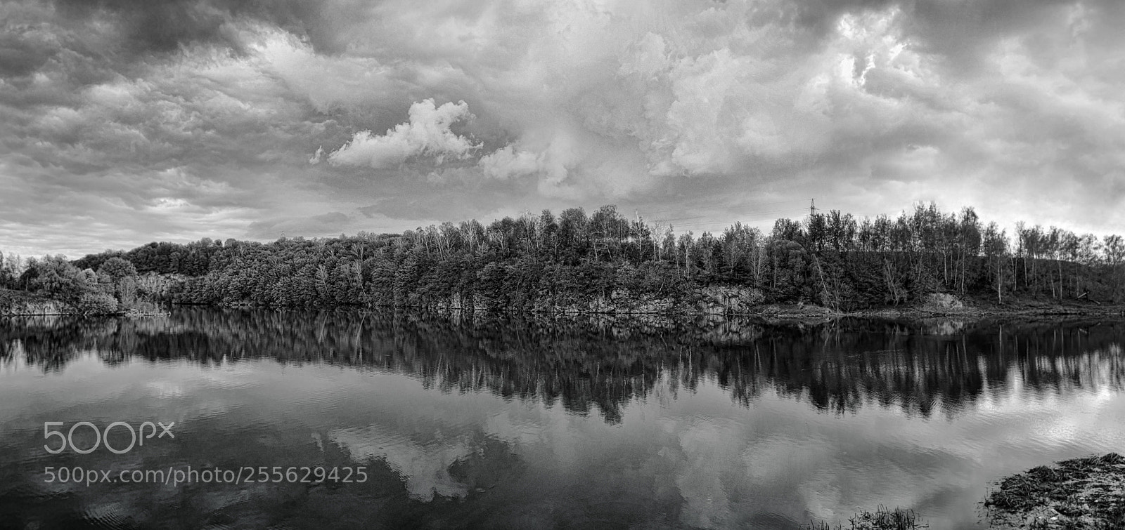 Nikon D800E sample photo. Spring b/ w photography
