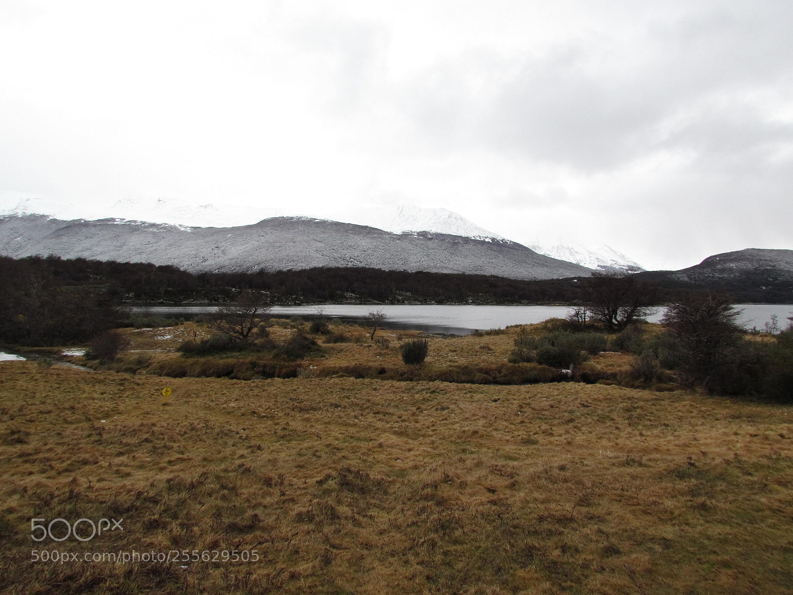 Canon PowerShot SX30 IS sample photo. Img photography