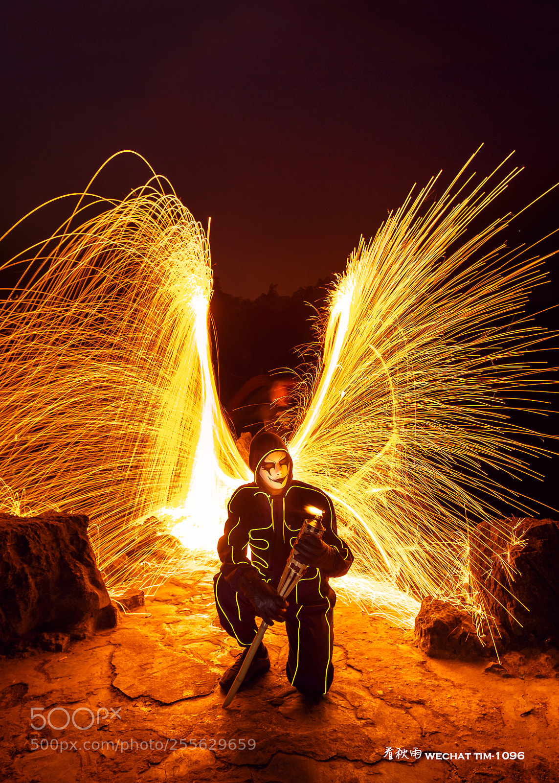 Canon EOS-1D X Mark II sample photo. Phoenix's wing. photography