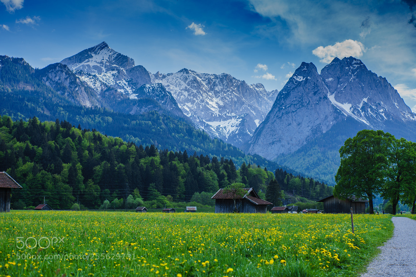 Sony a7 sample photo. Hight mountains and green photography